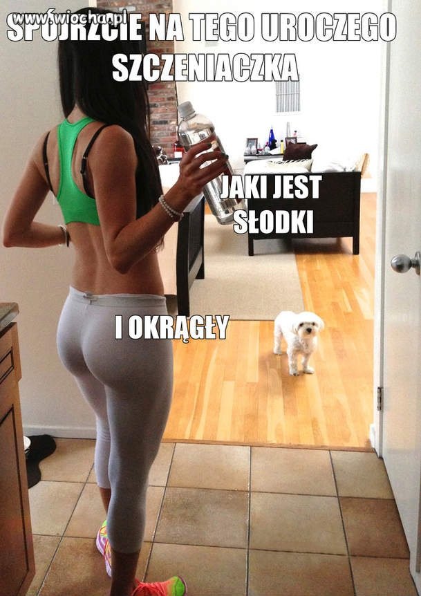 Uroczy szczeniaczek