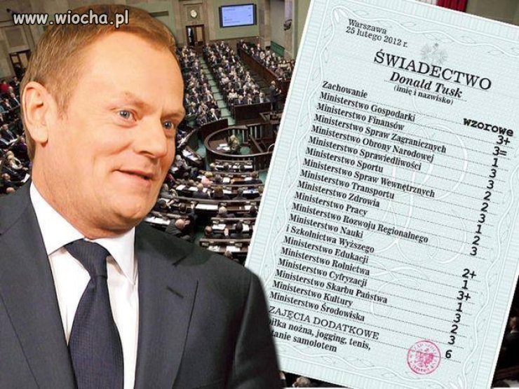 świadectwo 