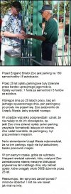 Dobry biznesplan
