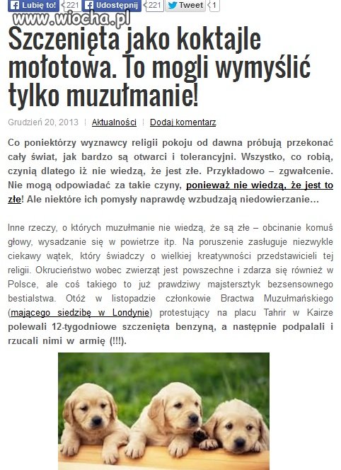 Wyznawcy religii pokoju nie wiedzą co jest złe.