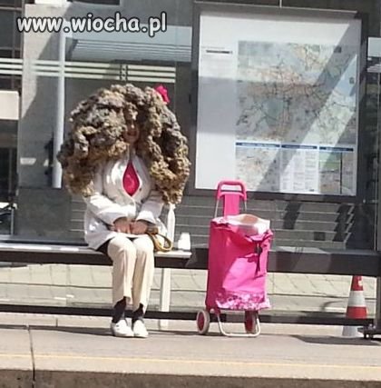Koszmar fryzjera