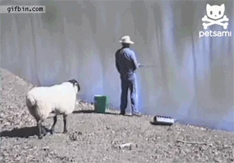 Wędkarz