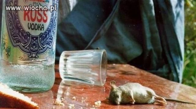 Rosyjska wódka