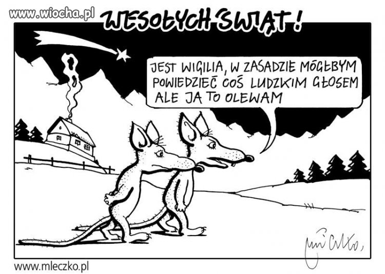 Wesołych Świąt !