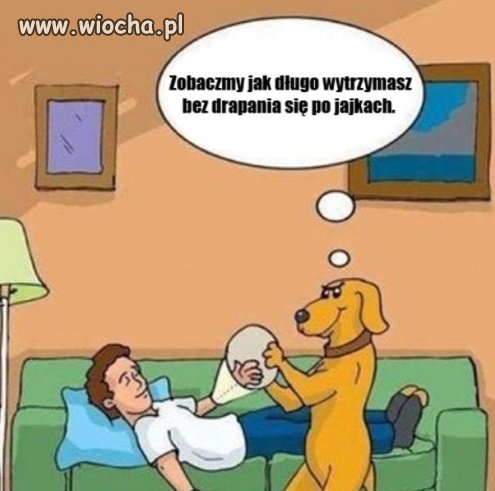 NIEOCZEKIWANA ZAMIANA MIEJSC