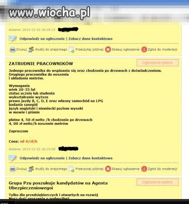 Praca na zimę? Super ogłoszenie 