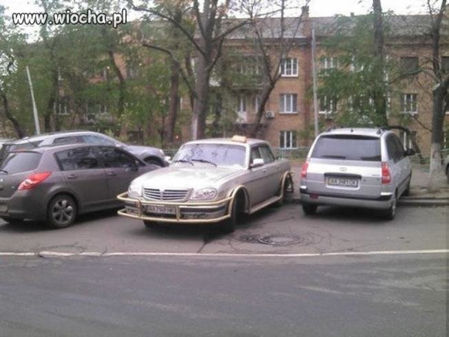 Ta wołga nie jest szykowana na afrykańskie safari 