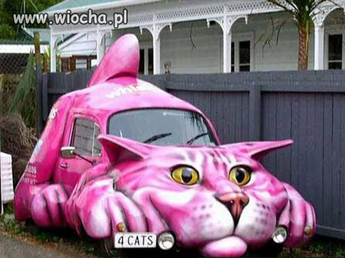 Słit kociochód