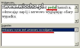 Microsoft Word wie lepiej...