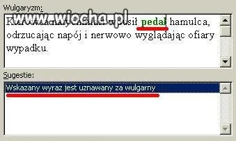 Microsoft Word wie lepiej...