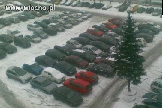 Parkowanie po polsku...w miłości bliźniego