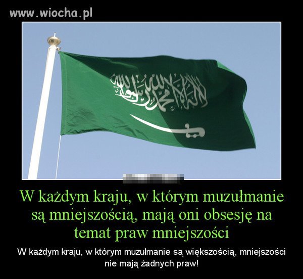 Stop Islamizacji Europy!!!