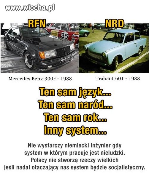 Polak potrafi!