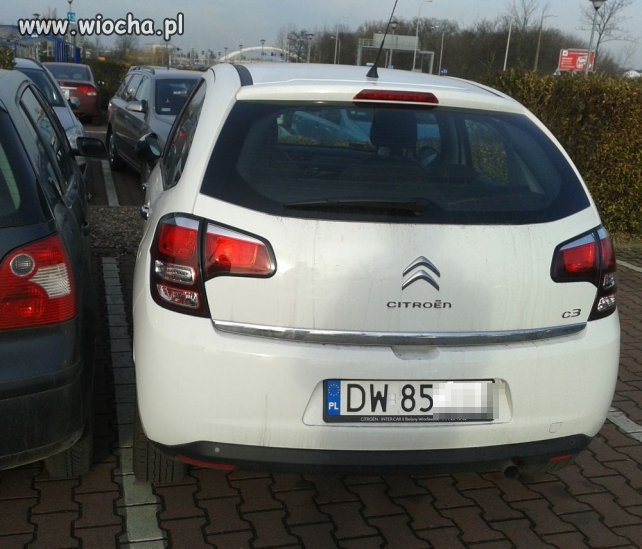 Szczupli ludzie mieszkają we Wrocławiu...