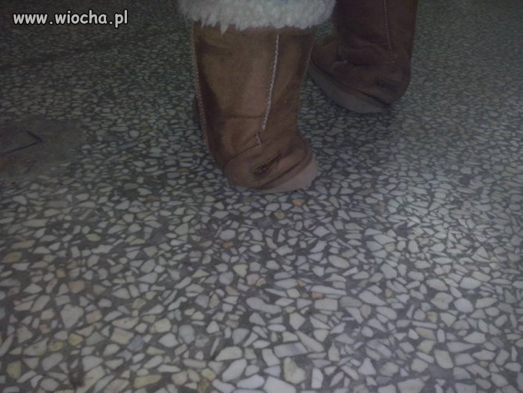 Buty Emu