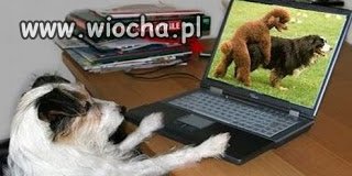 I tak oto znalazła swojego wybranka 