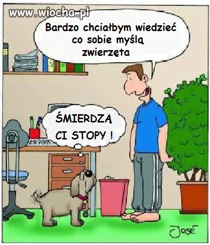 Bo czasami lepiej nie wiedzieć.