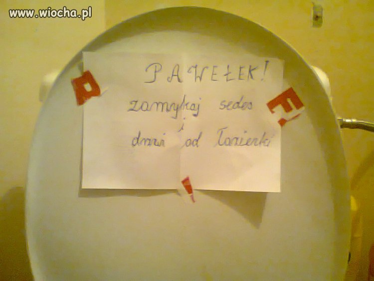 Babka