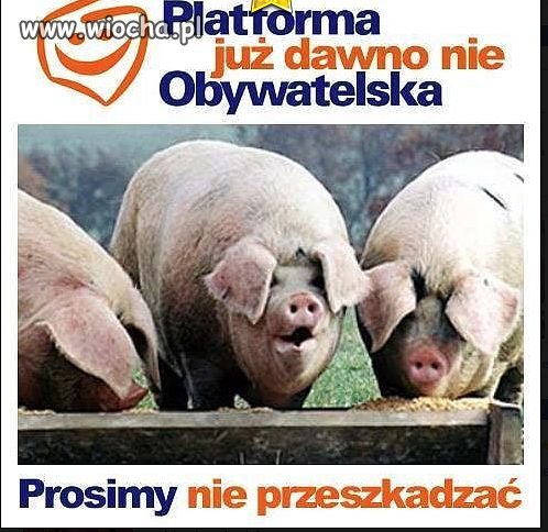 Tak szybko nie oderwią się od władzy