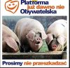 Tak szybko nie oderwią się od władzy