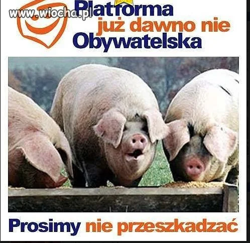 Tak szybko nie oderwią się od władzy