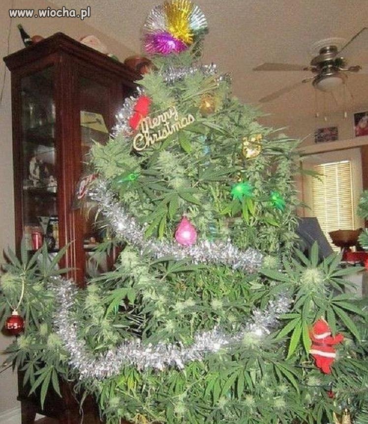 To się nazywa choinka