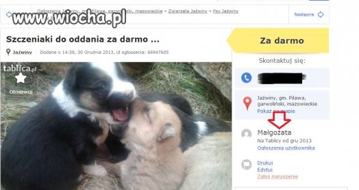 MałgoŻata