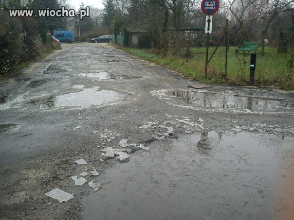 Poznań ul. Wiśniowa kraina jezior.
