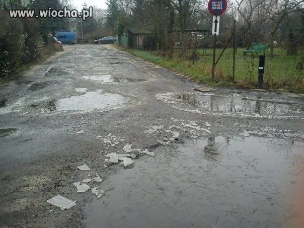 Poznań ul. Wiśniowa kraina jezior.