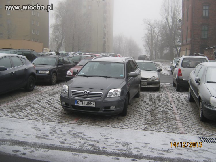 MARGRABIA ZAJECHAŁ 