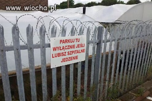Tutaj można...