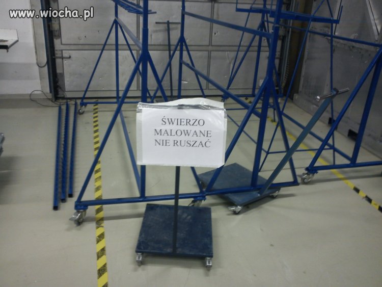 Autokorekta nie zadziałała..