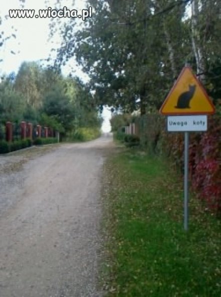 Wierzchowisko gm.mykanów