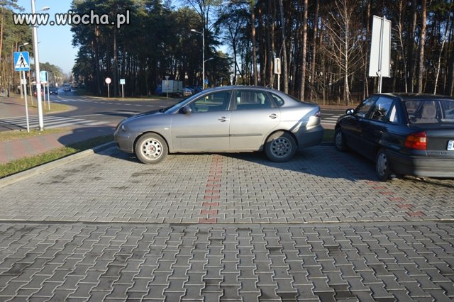 Mistrz parkowania