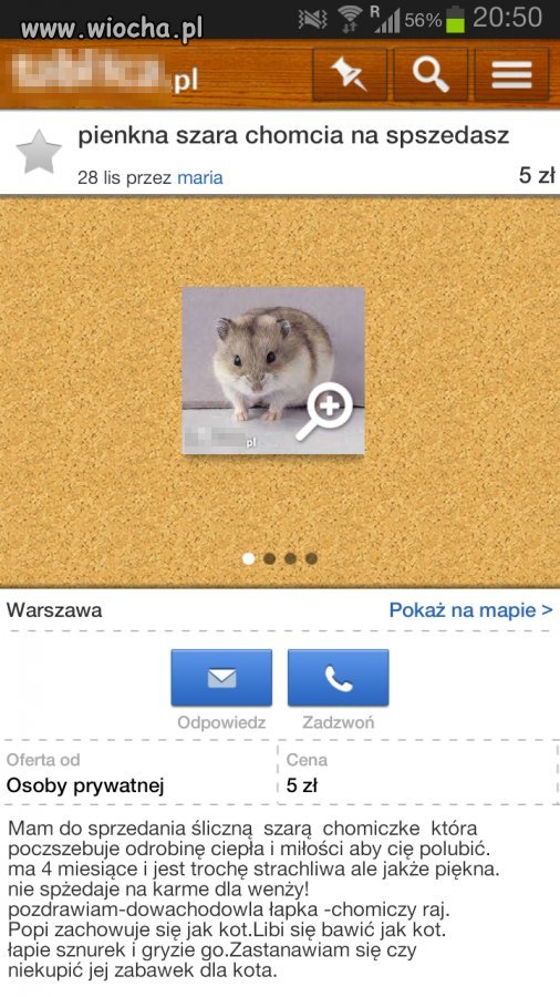 "Pienkna szara chomcia ..."