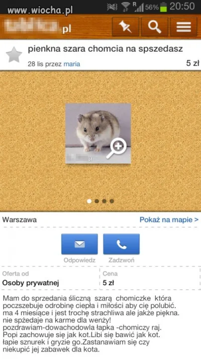 "Pienkna szara chomcia ..."
