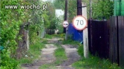 Ciekawe, w których krzakach patrol się zaczaił? 