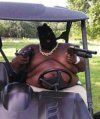 Gangsta