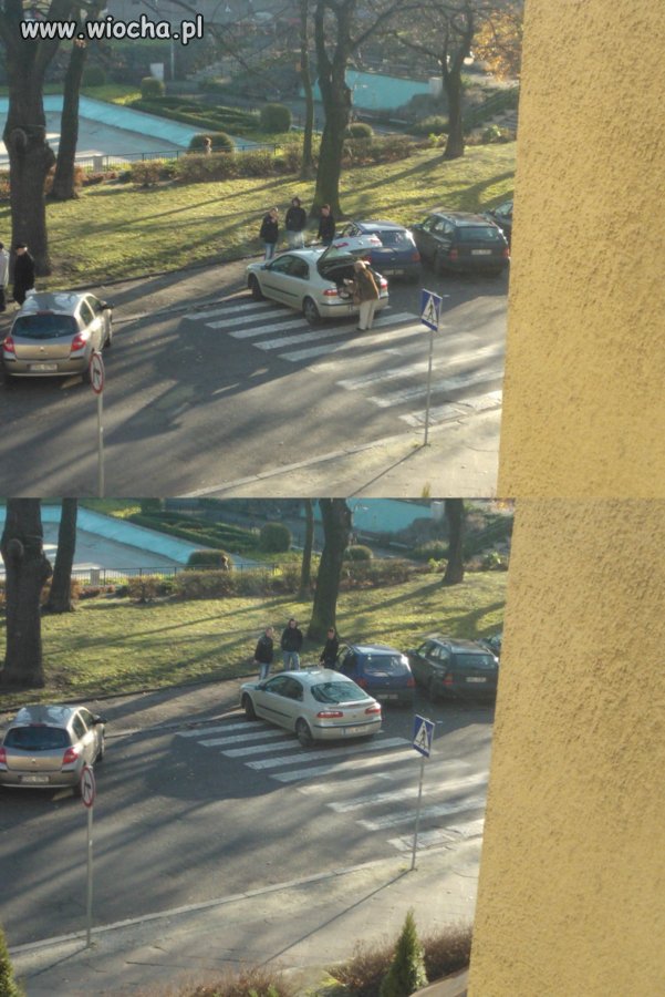 Mistrzyni parkowania z Głogowa 