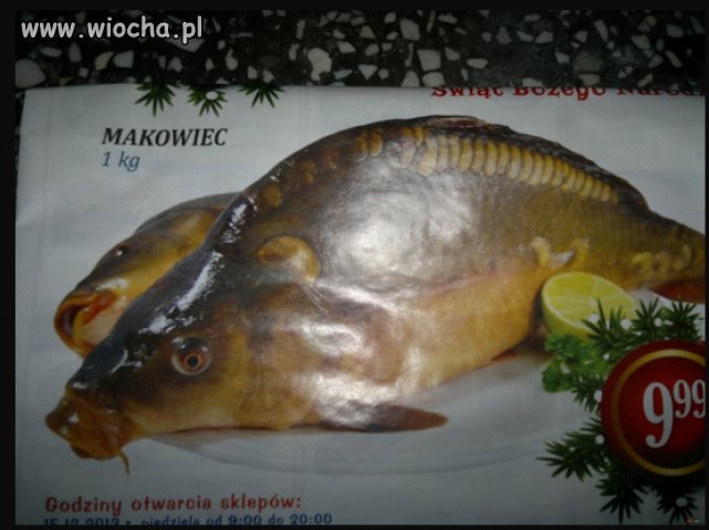 Makowiec z karpia