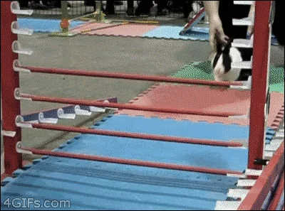 Bo w życiu 