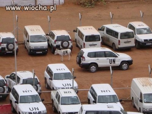 UN-park "maszynowy"