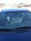 Po czym poznać, że auto należny do muslima? 