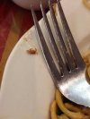 Obiad w pewnej restauracji