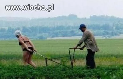 Takie tam na polu