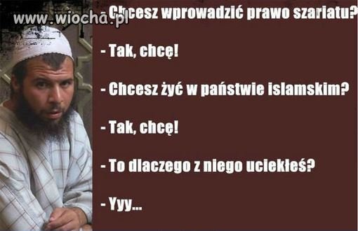 Muslimska logika