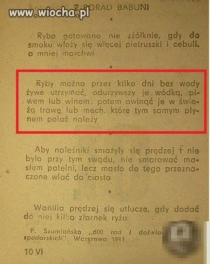 KARP ŚWIĄTECZNY 