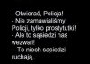 Mistrz ciętej riposty 
