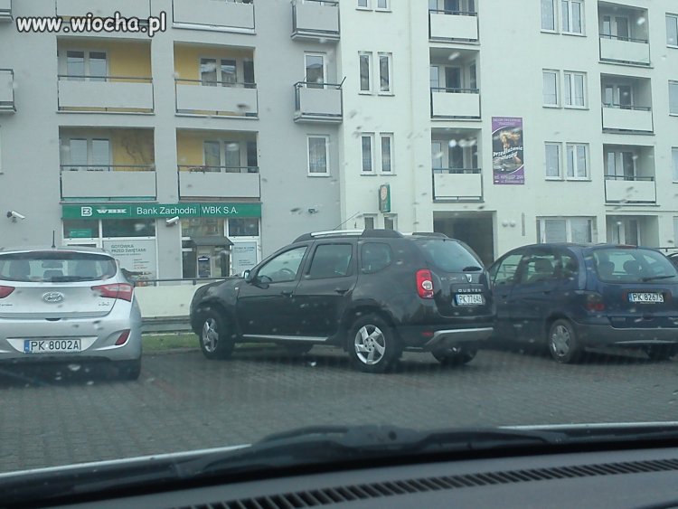 Burak pod Bankiem w Kaliszu... 