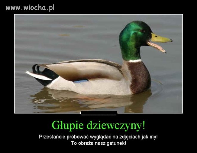 Co prawda to prawda dziewczyny